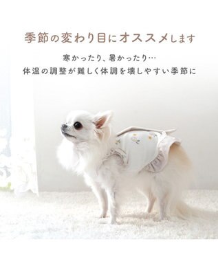 PET PARADISE ディズニー ミッキーマウス サーモキープ Tシャツ 《風船柄》 小型犬 ホワイト×ブルー