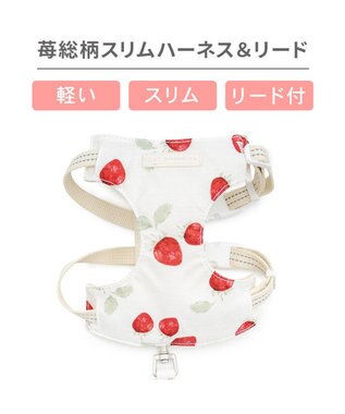PET PARADISE ペットパラダイス スリム ハーネス＆リード 《苺総柄》 ＳＭ 中型犬 ホワイト