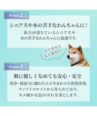 PET PARADISE ペットパラダイス ドライ泡シャンプー300ｍＬ -