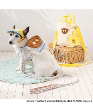 PET PARADISE ミニオン ティム お花柄 リード ４Ｓ～３Ｓ ブルー