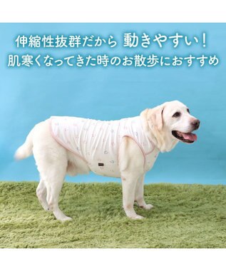 PET PARADISE ペットパラダイス ペティヒート天竺 タンクトップ 《さくらんぼ柄》  中型犬 大型犬 ピンク