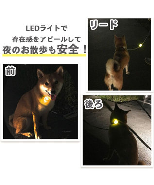 犬 散歩 夜 光る ディズニー ミッキーマウス ｌｅｄ お散歩ライト Pet Paradise 通販 雑貨とペット用品の通販サイト マザーガーデン ペットパラダイス