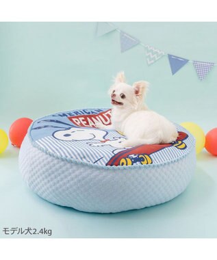 PET PARADISE 【8月初旬お届け】スヌーピー スケボークッション Ｍ ブルー