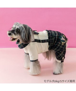 PET PARADISE ディズニー わんわん物語 トランプ パンツつなぎ 小型犬 グリーン
