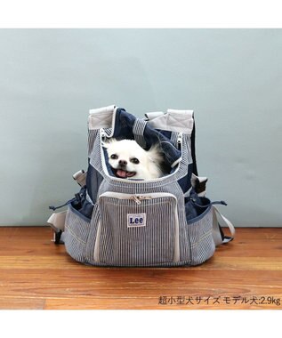 PET PARADISE Lee ハグ&リュック ヒッコリー キャリーバッグ S 超小型犬 グレー