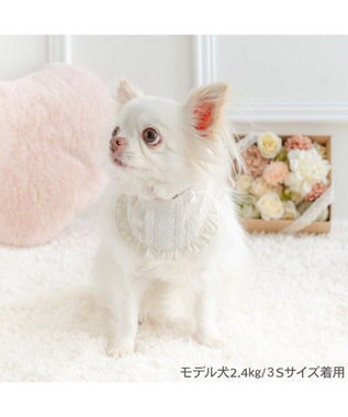 PET PARADISE ペットパラダイス キルティング レース スタイ 小型犬 ホワイト