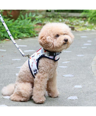 PET PARADISE リサとガスパール 保冷剤ポケット付き ハーネス 3S 小型犬 保冷剤付き