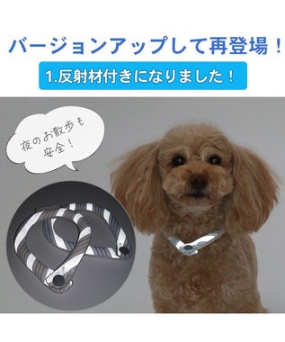 PET PARADISE クールリング 犬 クールネック ひんやり 28℃クールリング 【M】 リフレクター 水色 ベージュ 反射材付き 水色 M