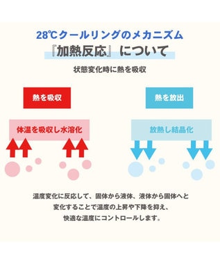 PET PARADISE クールリング 犬 クールネック ひんやり 28℃クールリング 【M】 リフレクター 水色 ベージュ 反射材付き 水色 M