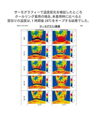 PET PARADISE クールリング 犬 クールネック ひんやり 28℃クールリング 【M】 リフレクター 水色 ベージュ 反射材付き 水色 M