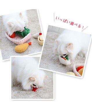 PET PARADISE ペットパラダイス 洋風お弁当 ノーズトイ 《 サンドイッチ》 サンドイッチ