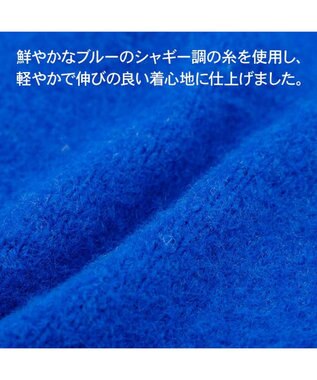 PET PARADISE J.PRESS シャギー風ニット 《ブルー》 小型犬 ブルー