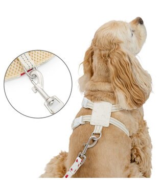 PET PARADISE ペットパラダイス スリム ハーネス＆リード 《苺総柄》 ＳＭ 中型犬 ホワイト