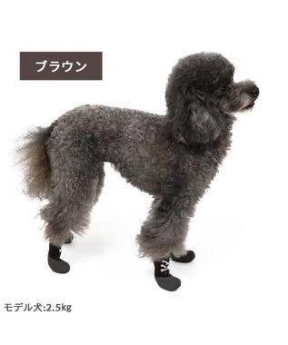 PET PARADISE ペットパラダイス フィットシューズ 【３Ｓ】 グリーン ブラウン ブラウン