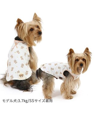 PET PARADISE ペットパラダイス はじめてタンクトップ くまちゃん柄 小型犬 ホワイト