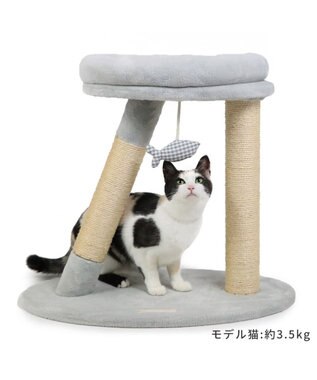 猫 キャットタワー 55cm スリム / PET PARADISE | 【通販】雑貨と 