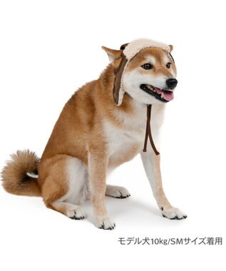 PET PARADISE ペットパラダイス フライトハット 中型犬 ブラウン