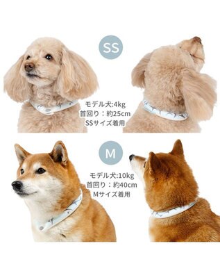 PET PARADISE ペットパラダイス ２８℃ クールリング ３Ｓ 《サメ柄》 ブルー