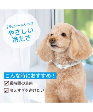 PET PARADISE ペットパラダイス ２８℃ クールリング ３Ｓ 《サメ柄》 ブルー