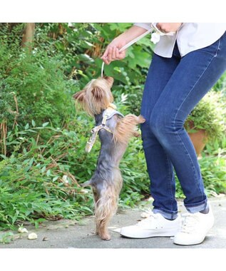 PET PARADISE スヌーピー リード&ハーネス 《パーティ柄》 S 小型犬 パーティ柄