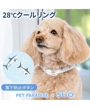 PET PARADISE ペットパラダイス ２８℃ クールリング ３Ｓ 《サメ柄》