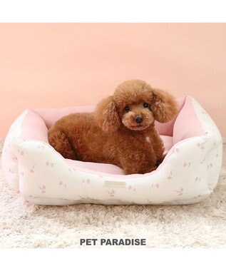 くま折りたたみ ベッド (55×72cm) / PET PARADISE | 【通販】雑貨と