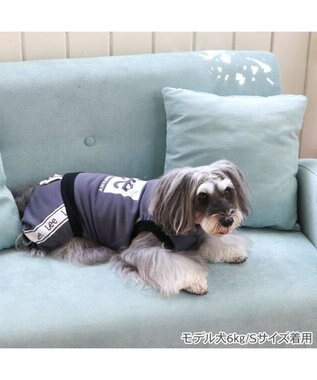 PET PARADISE Lee ボックスロゴ ロンパース 小型犬 チャコールグレー