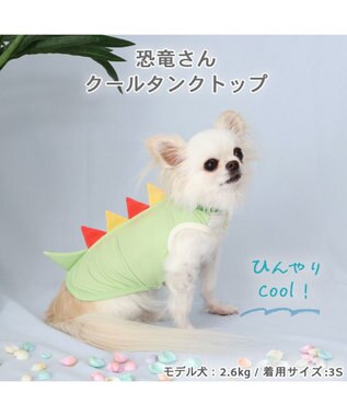 PET PARADISE 犬の服 夏 ひんやり 恐竜 タンクトップ 【小型犬】クールマックスエコメイド クール メッシュ 接触冷感 虫よけ 黄緑