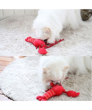 PET PARADISE ペットパラダイス おもちゃトイ 伊勢えび 赤