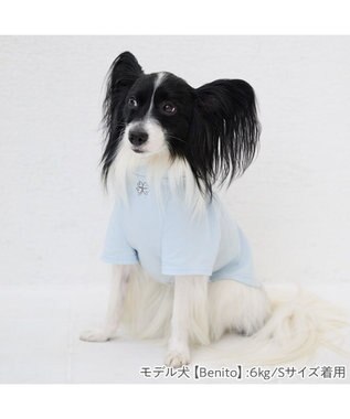 PET PARADISE ペットパラダイス Mai Kuraki　LOVE  ペットTシャツ 《ブルー》 小型犬 ブルー