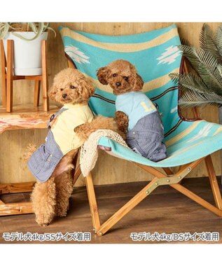 PET PARADISE Lee ワンショルダー パンツつなぎ 《ヒッコリー》 小型犬 ライトブルー