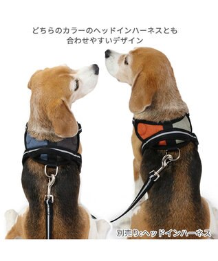 PET PARADISE 両面反射リード ブラック120cm【ＳＭ】 黒