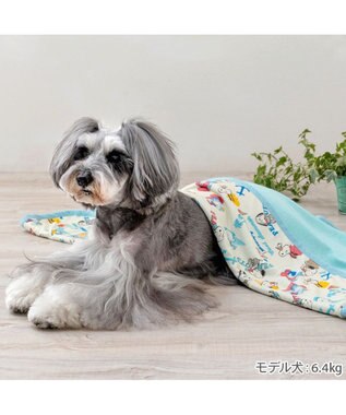 PET PARADISE スヌーピー クールケット 《アイス柄》 ホワイト×ブルー