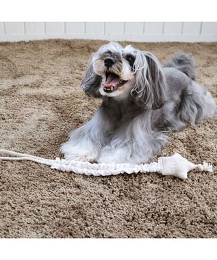 PET PARADISE ペットパラダイス 引っ張り トイ 《雲/星》 星