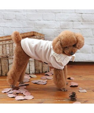 PET PARADISE ペットパラダイス ワンダフル ストレッチ フリース 《 ニット襟 》小型犬 茶