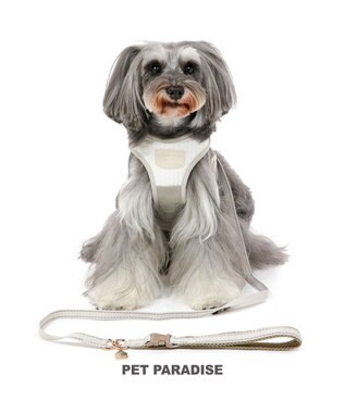 犬 ハーネス ディズニー トイ・ストーリー リュック付き 【SS