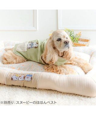 PET PARADISE スヌーピー カドラー ＬＬ 《のほほん柄》　 ライトベージュ