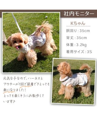 PET PARADISE ペットパラダイス デニム アウターハーネス 小型犬 ブルー