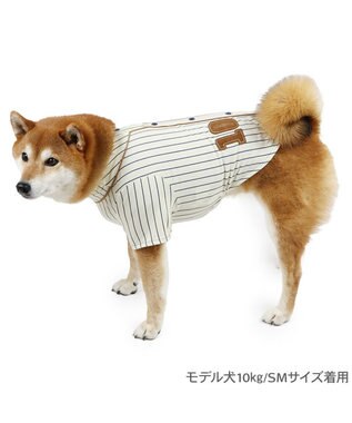 PET PARADISE ペットパラダイス 野球 Tシャツ 中型犬 ホワイト