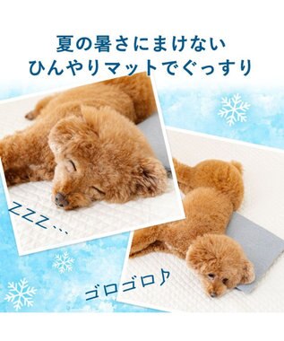 PET PARADISE ペットパラダイス  コンパクトクーラー グレー 2026 グレー