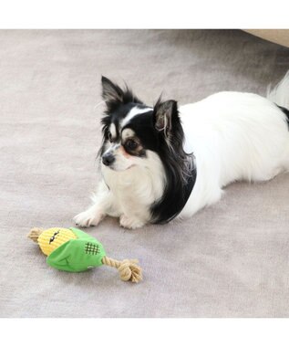 PET PARADISE 犬用品 ペットグッズ 犬 おもちゃ ペットパラダイス 犬 トイ TOY 焼きもろこし おもちゃ | 音が鳴る ぬいぐるみ ボール ロープ オモチャ 玩具 トイ TOY 小型犬 猫 かわいい おもしろ インスタ映え 黄