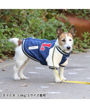 Lee スタジャン 小型犬 / PET PARADISE | 【通販】雑貨とペット