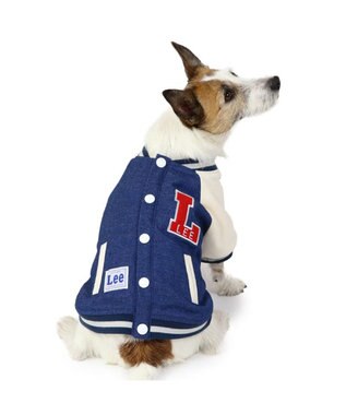 ペットパラダイス　Lee ブルゾン　ジャケット　DSS ★タグ付き試着のみ★ Lee ライダースブルゾン 小型犬 / PET PARADISE | 【通販】雑貨