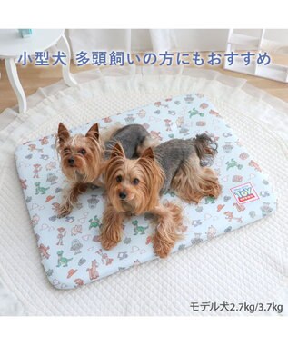 PET PARADISE ディズニー トイ・ストーリー もちっと クール マット Ｍ  《総柄》 ライトブルー
