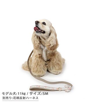 PET PARADISE 花柄 リード【ＳM】中型犬 茶系
