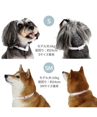 PET PARADISE ペットパラダイス 28℃クールリング  《いちご》 SM 中型犬 いちご柄