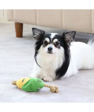 PET PARADISE 犬用品 ペットグッズ 犬 おもちゃ ペットパラダイス 犬 トイ TOY 焼きもろこし おもちゃ | 音が鳴る ぬいぐるみ ボール ロープ オモチャ 玩具 トイ TOY 小型犬 猫 かわいい おもしろ インスタ映え 黄
