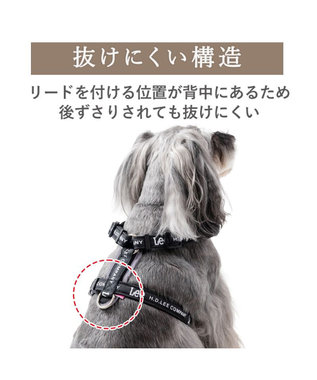 PET PARADISE Lee ロゴアクティブ ハーネス Ｓ ブラック