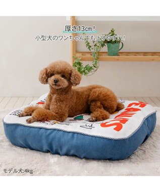 PET PARADISE スヌーピー フレンズ クッション フレンズ柄