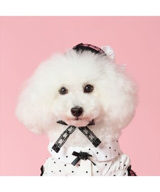 PET PARADISE cherircouture ベレー帽 ４Ｓ～３Ｓ / ＳＳ～Ｓ ブラック